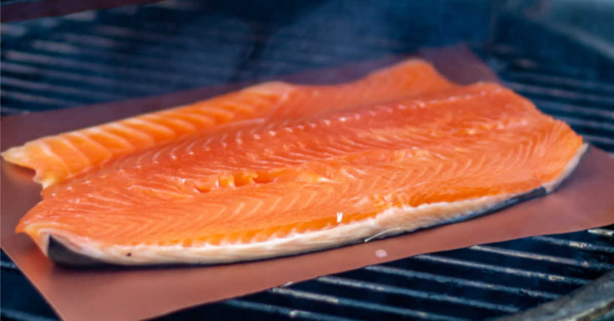 rich dry brine salmon fillet on the grill for smoking.