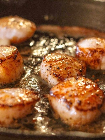 Searing Scallops on the Cast Iron Skillet on the Grill.