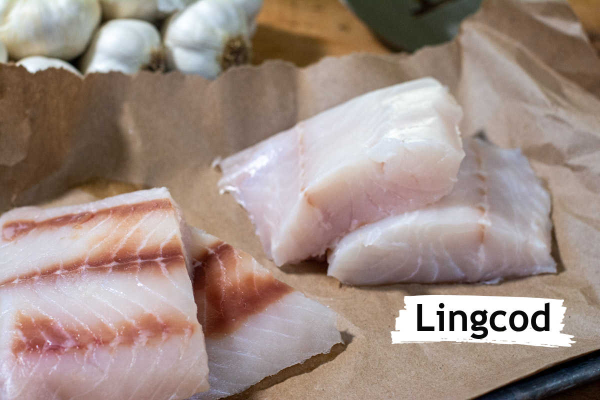 fillets of cut lingcod with a label on a butcher paper lined sheet pan.