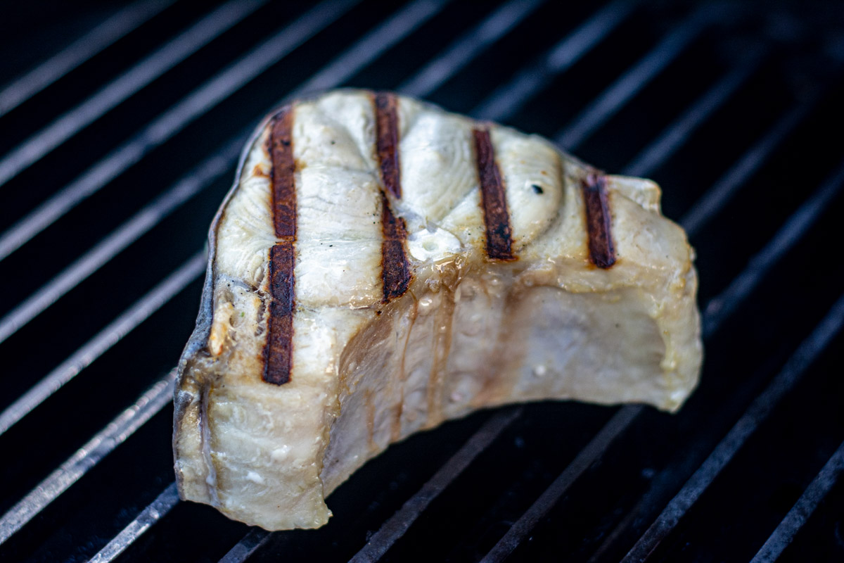 shark steak on the grill grate with gorgeous sear marks.