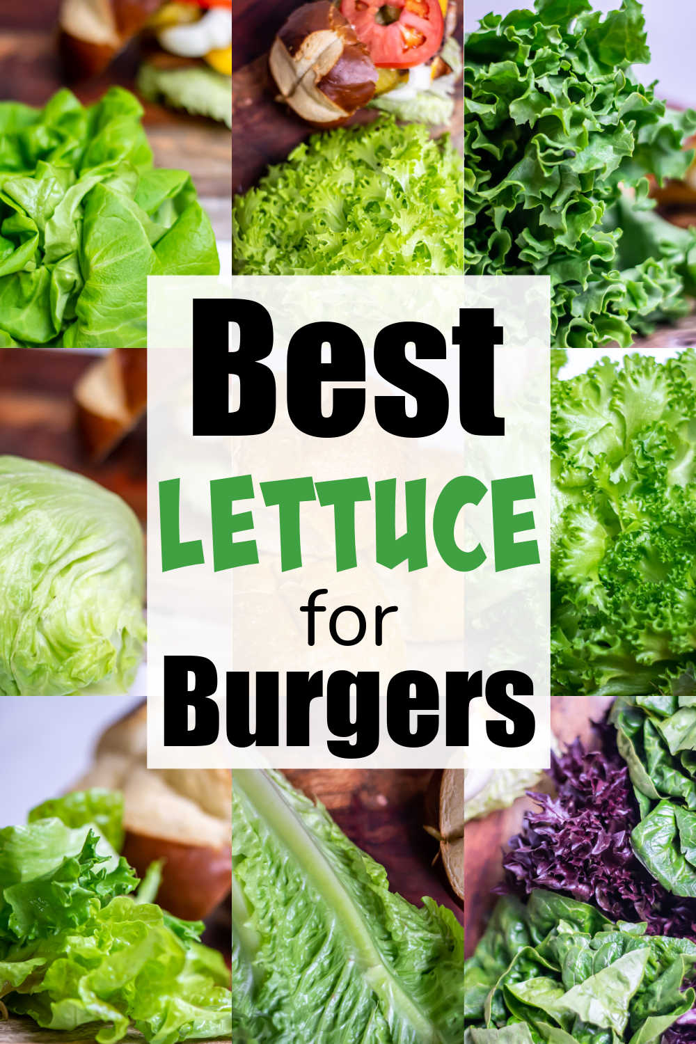 nine photos of lettuce with text overlay reading the best lettuce for burgers.