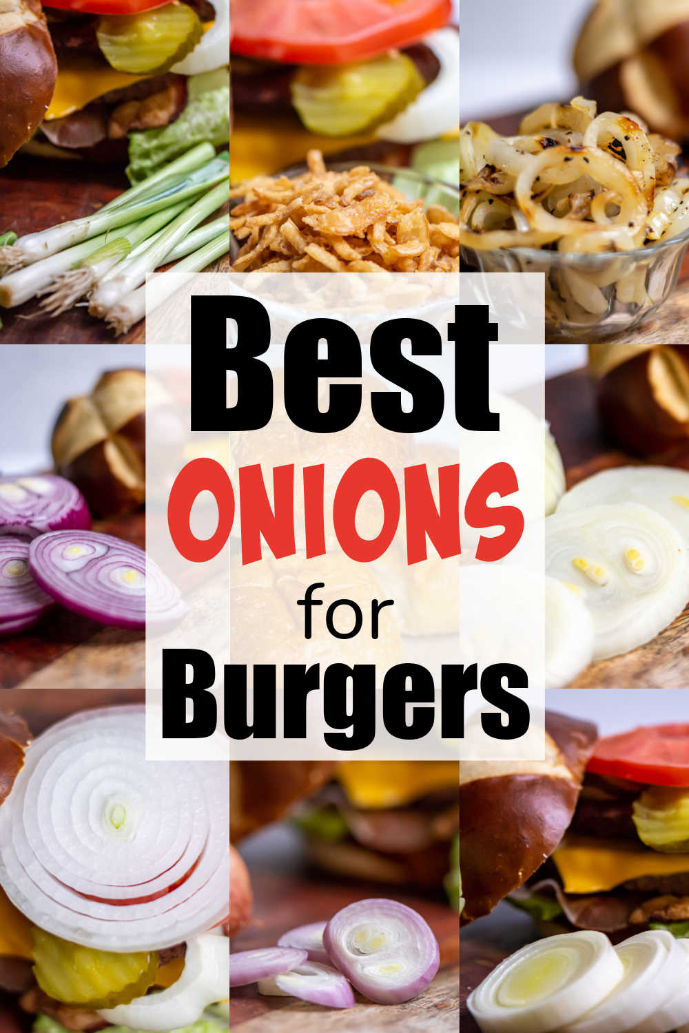 nine photos of different types of onions with text that reads the best onions for burgers.