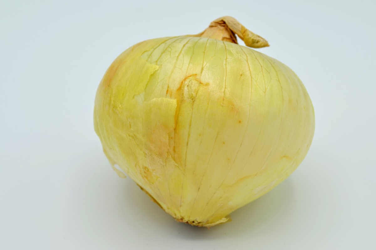 one large sweet onion on a white table.