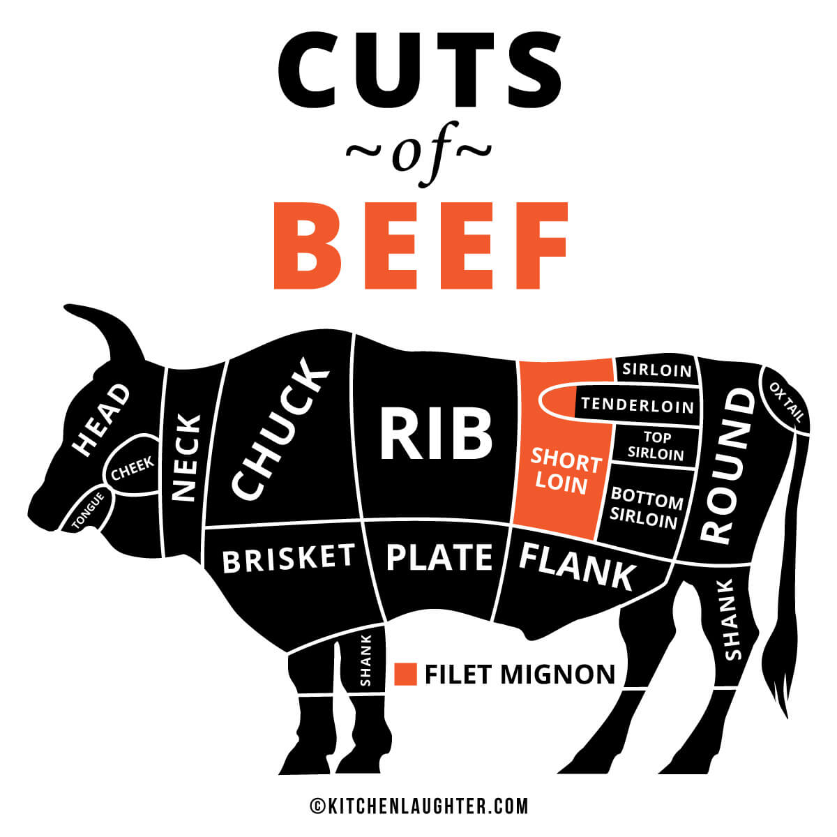 Image of beef primal cuts with sirloin and filet mignon highlighted.