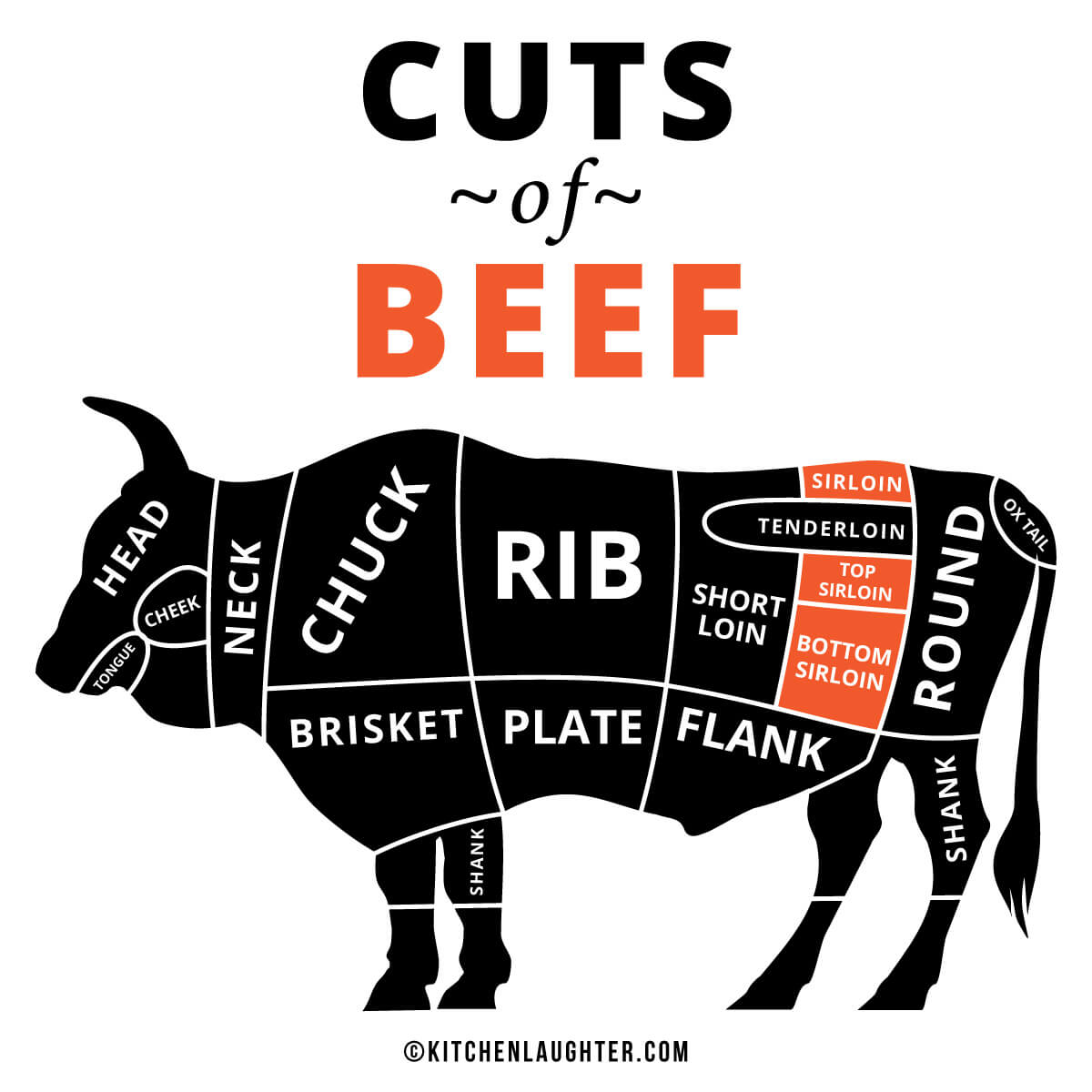 Graphic of beef primal cuts with sirloin highlighted.