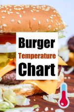 Burger Temperature Chart - Kitchen Laughter