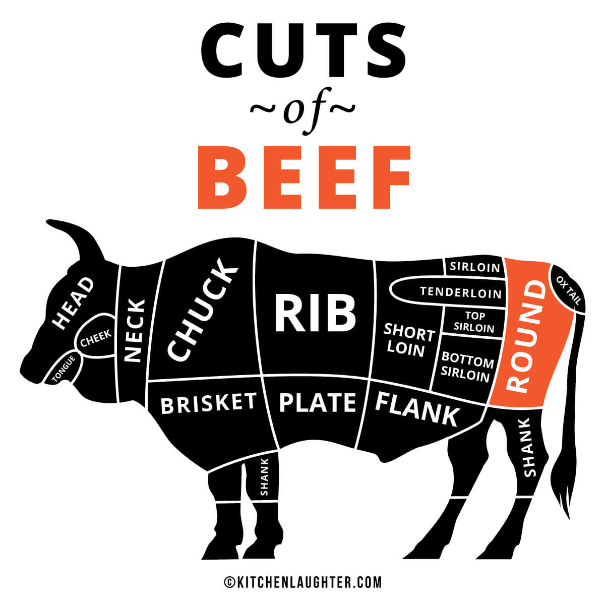 Text and cow graphic with cuts of beef and the round primal cut highlighted.