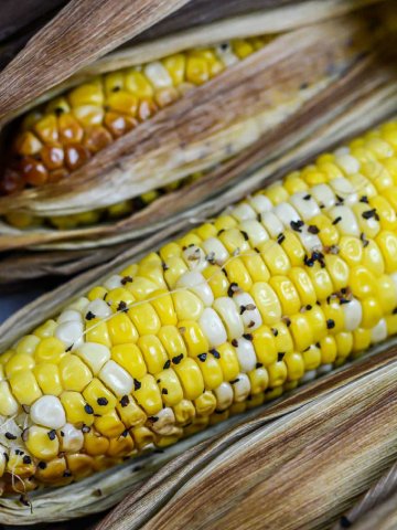 top down view of the smoked corn on the cob with butter and pepper after being removed from the grill.