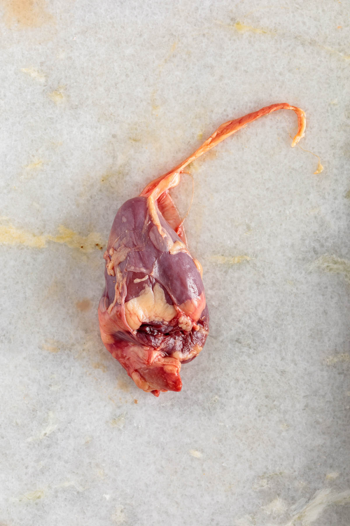 closeup of a chicken heart with the membrane still attached.